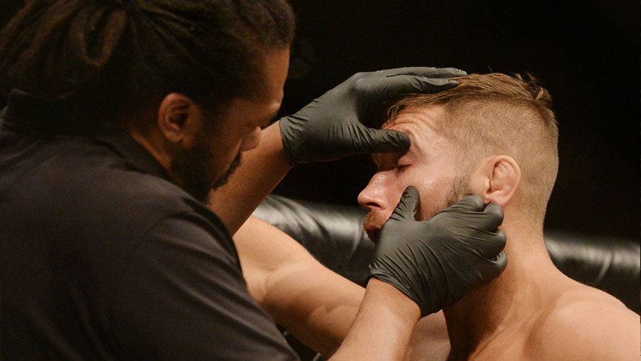 Yair Rodriguez contre Jeremy Stephens