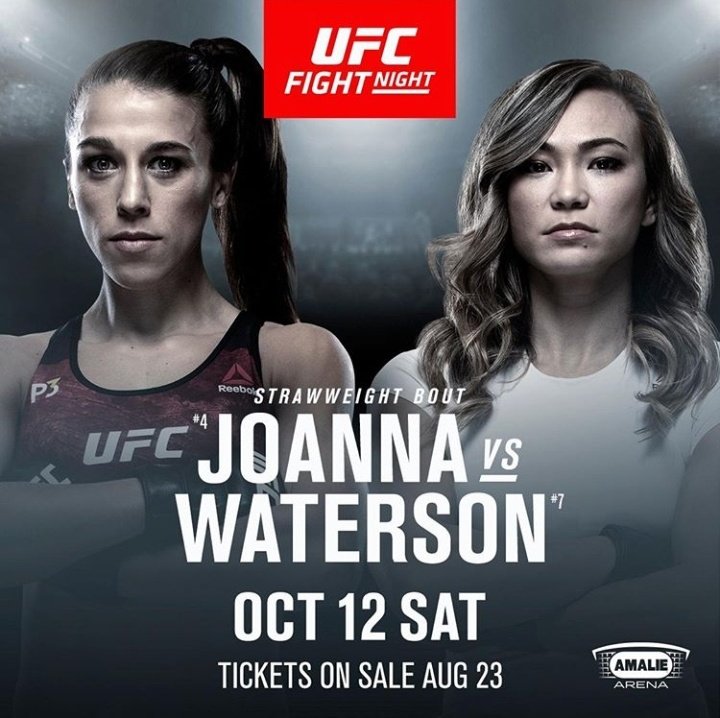 UFC Tampa - Poster et affiche