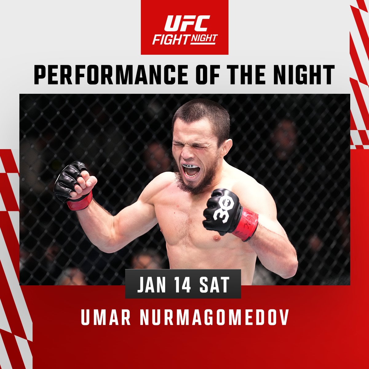 UFC on ESPN+ 75 - Bonus Umar Nurmagomedov