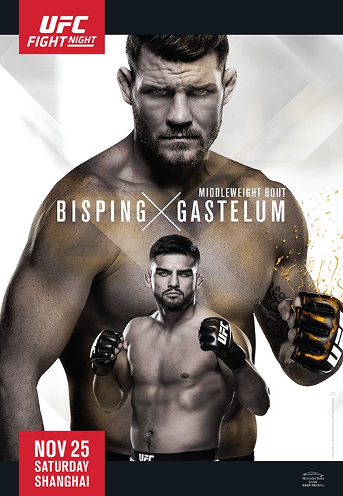 Poster/affiche UFC Shangai