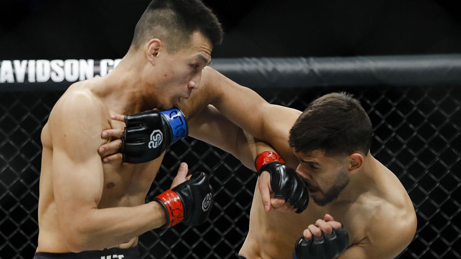 UFC Fight Night 139 - Chan Sung Jung contre Yair Rodriguez