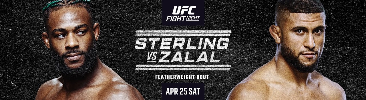 UFC Fight Night 274 - Las Vegas - Poster et affiche