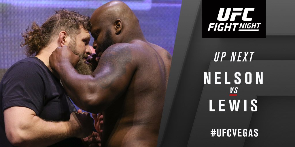 Roy Nelson contre Derrick Lewis