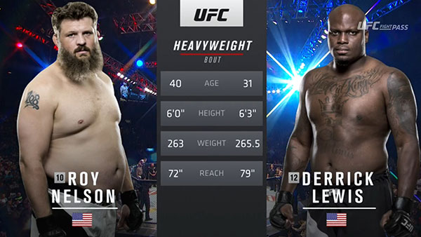 Roy Nelson contre Derrick Lewis