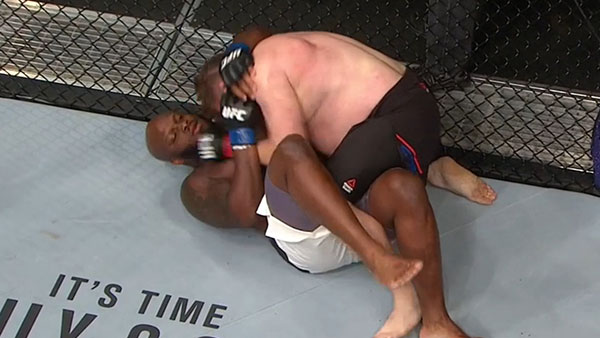 Roy Nelson contre Derrick Lewis