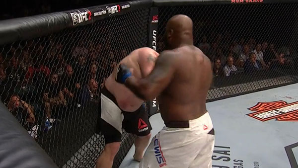 Roy Nelson contre Derrick Lewis