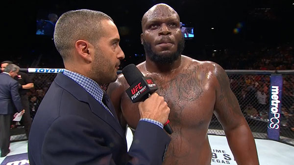 Roy Nelson contre Derrick Lewis