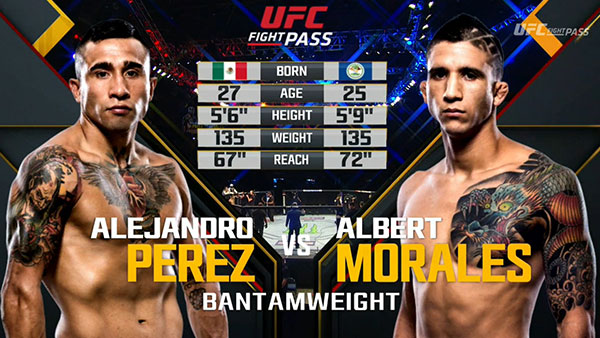 Alejandro Perez contre Albert Morales