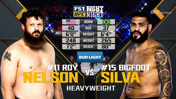 Roy Nelson contre Antonio Silva