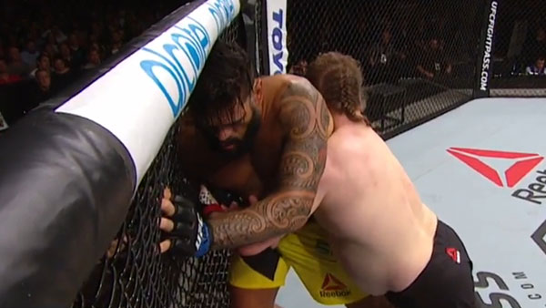 Roy Nelson contre Antonio Silva