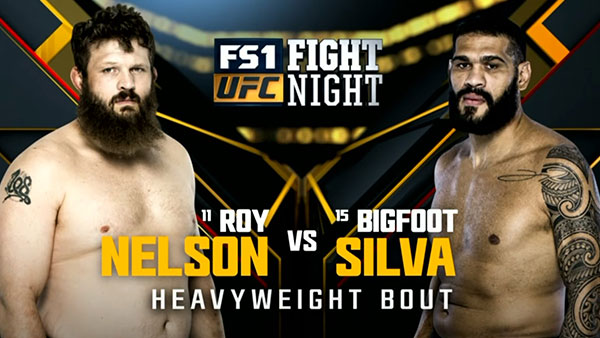 Roy Nelson contre Antonio Silva