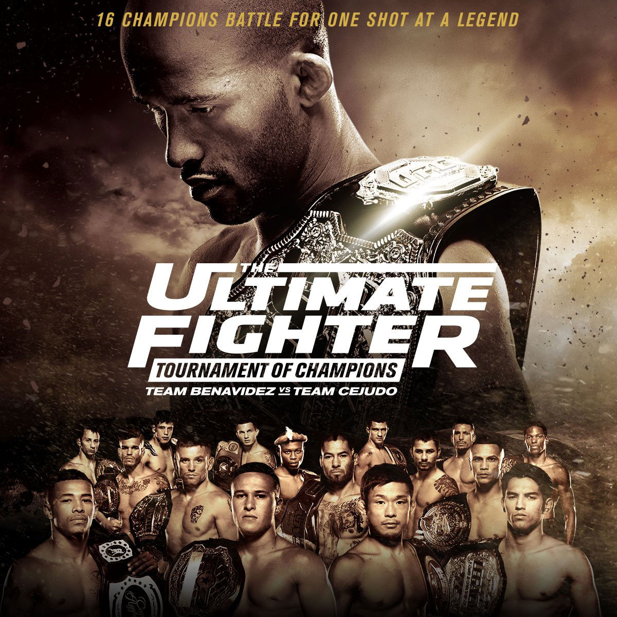 Poster/affiche TUF 24 Finale