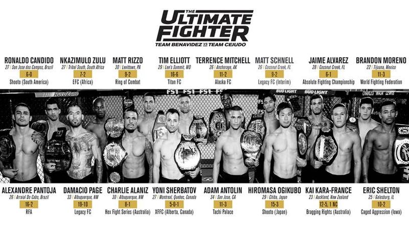 ultimate fighter 24