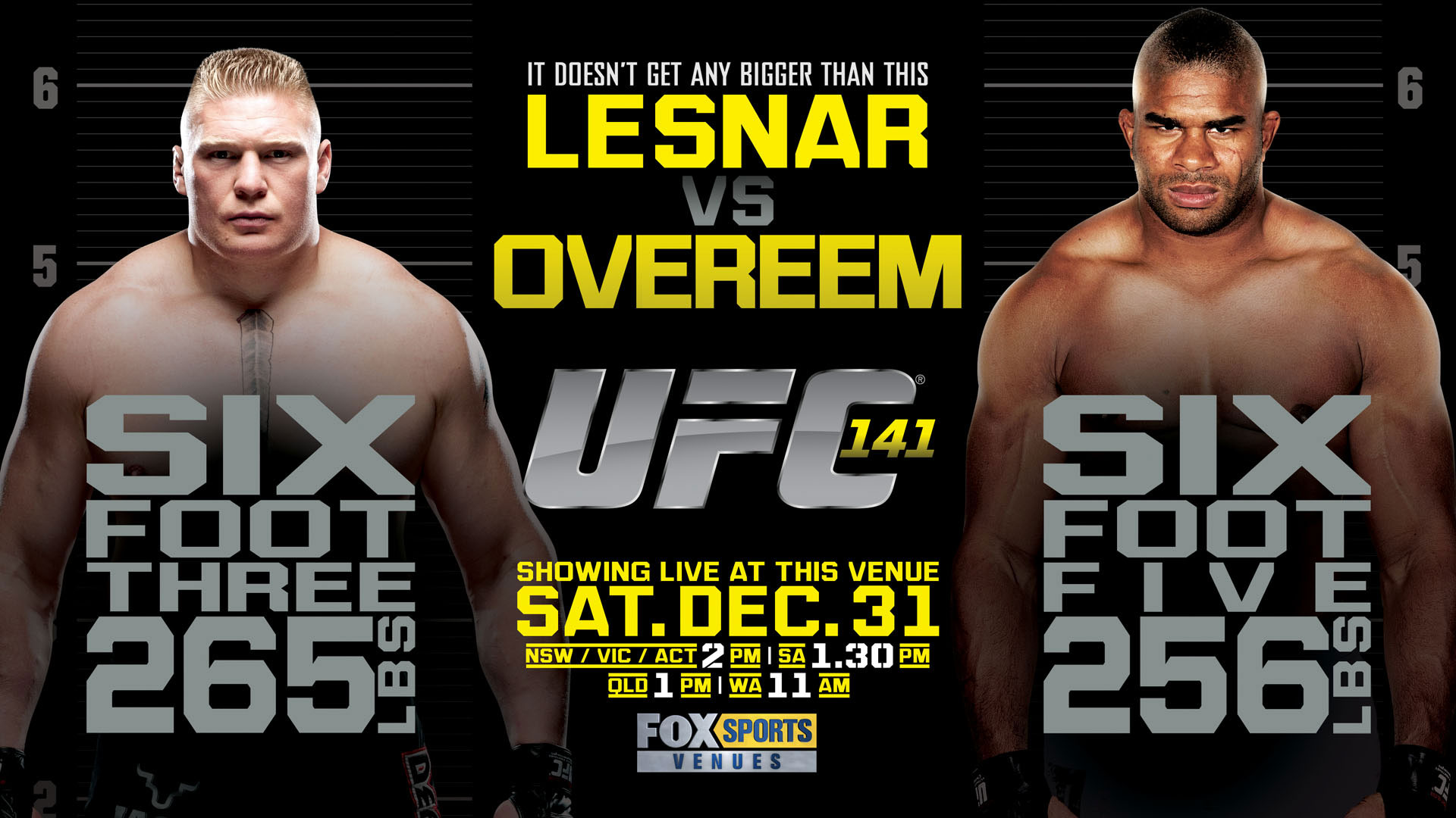 Poster/affiche UFC 141