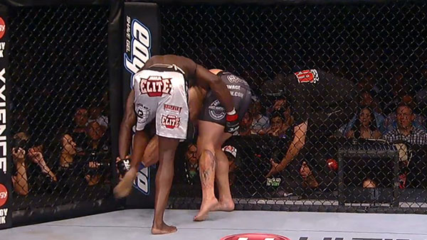 Cheick Kongo contre Shawn Jordan