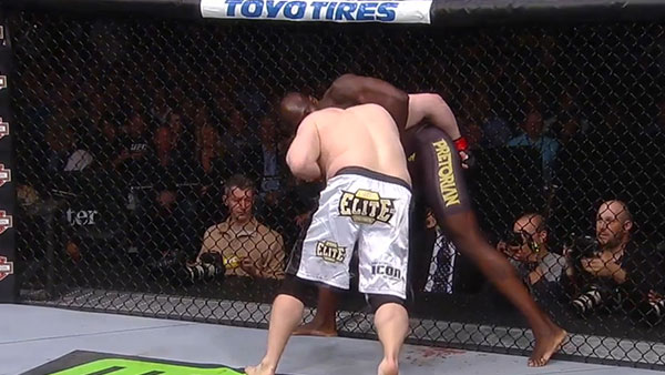 Cheick Kongo contre Roy Nelson