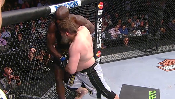 Cheick Kongo contre Roy Nelson