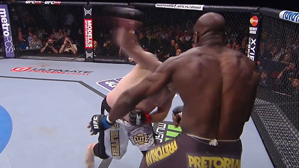 Cheick Kongo contre Roy Nelson