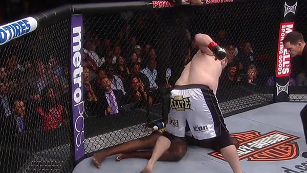 Cheick Kongo contre Roy Nelson