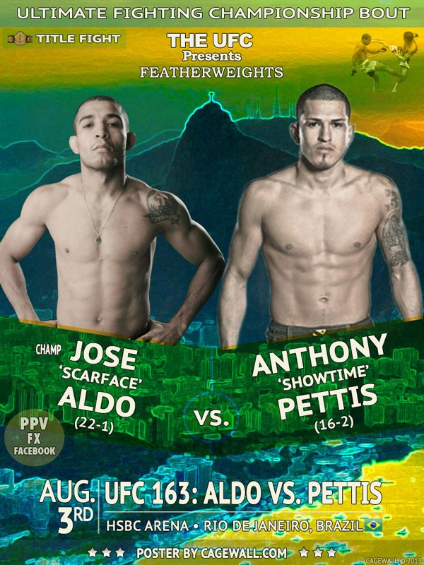 Poster/affiche UFC 163