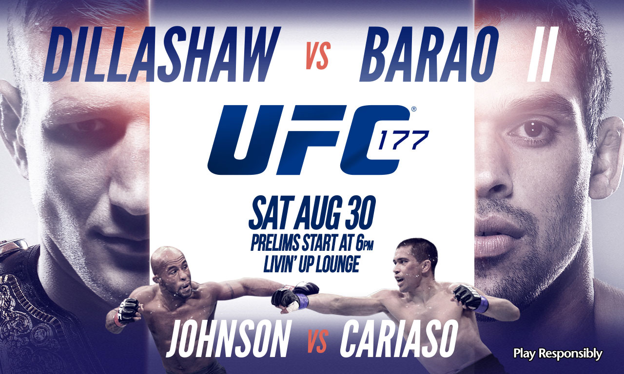 Poster/affiche UFC 177