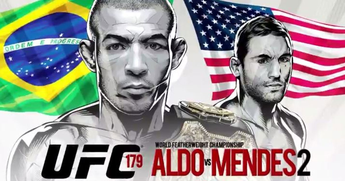 Poster/affiche UFC 179