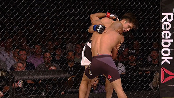 Demetrious Johnson contre Henry Cejudo