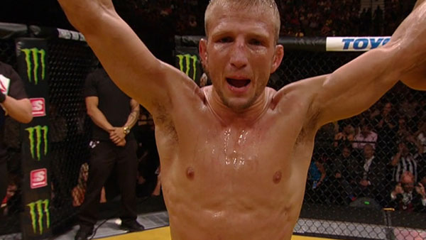 T.J. Dillashaw contre Raphael Assuncao