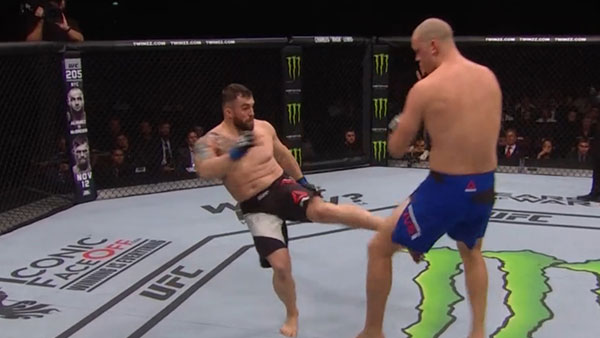 Stefan Struve contre Daniel Omielanczuk