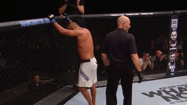 Michael Bisping contre Dan Henderson