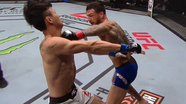 Cub Swanson contre Doo Ho Choi