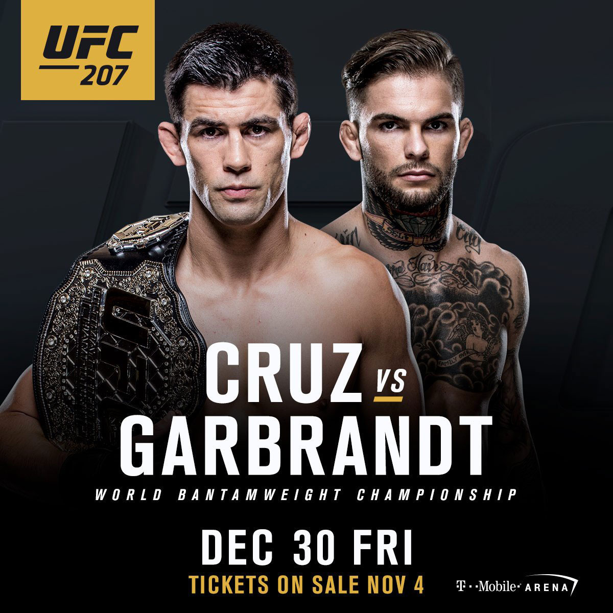 UFC 207 - Las Vegas