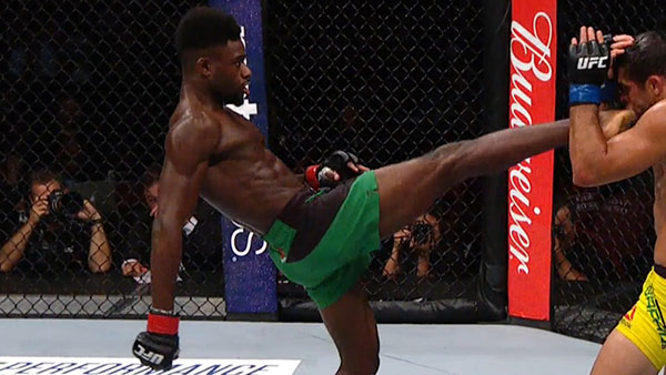 Aljamain Sterling contre Renan Barao