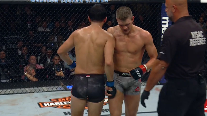 UFC 217 - Stephen Thompson contre Jorge Masvidal