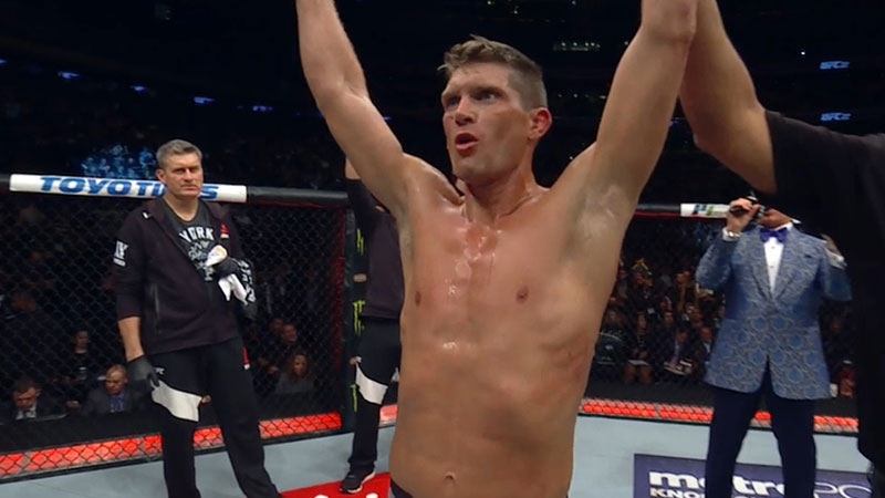 UFC 217 - Stephen Thompson contre Jorge Masvidal