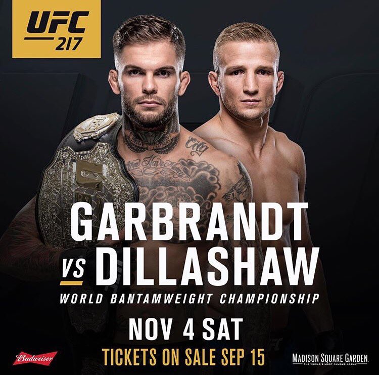 Poster/affiche UFC 217 - New York