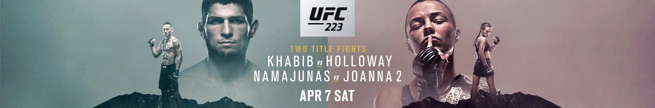 Poster/affiche UFC 223 - New York