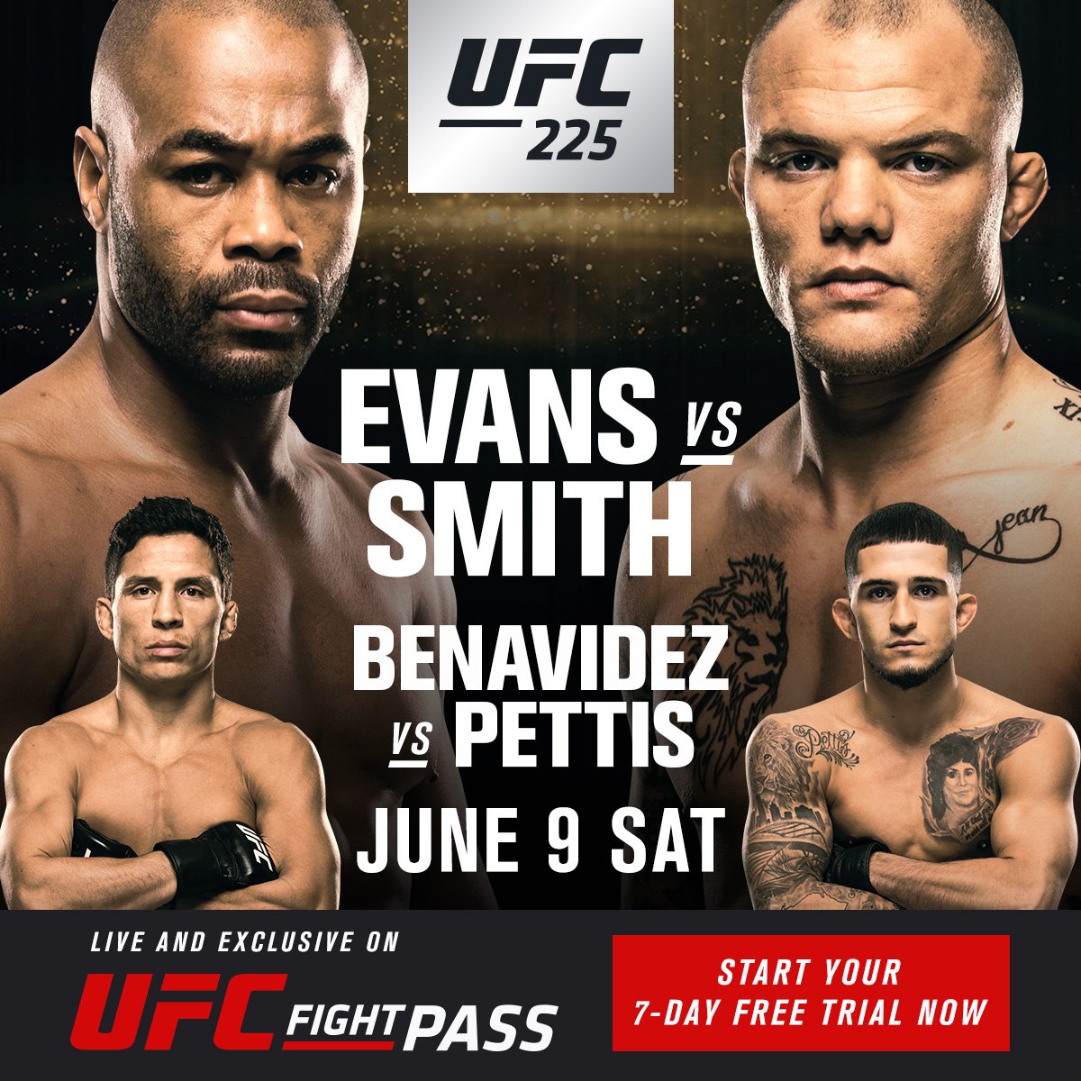 Poster/affiche UFC 225 - Chicago