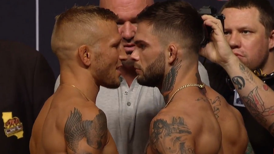 T.J. Dillashaw contre Cody Garbrandt