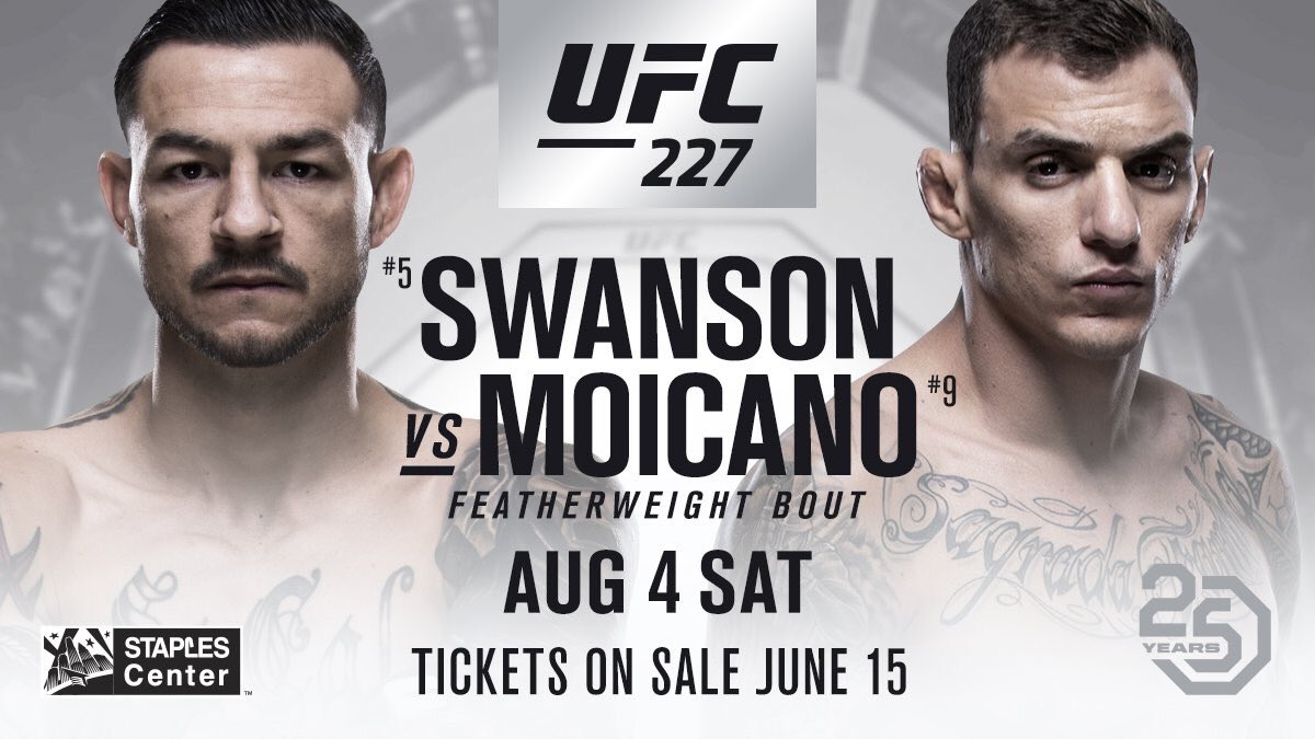 Poster/affiche UFC 227