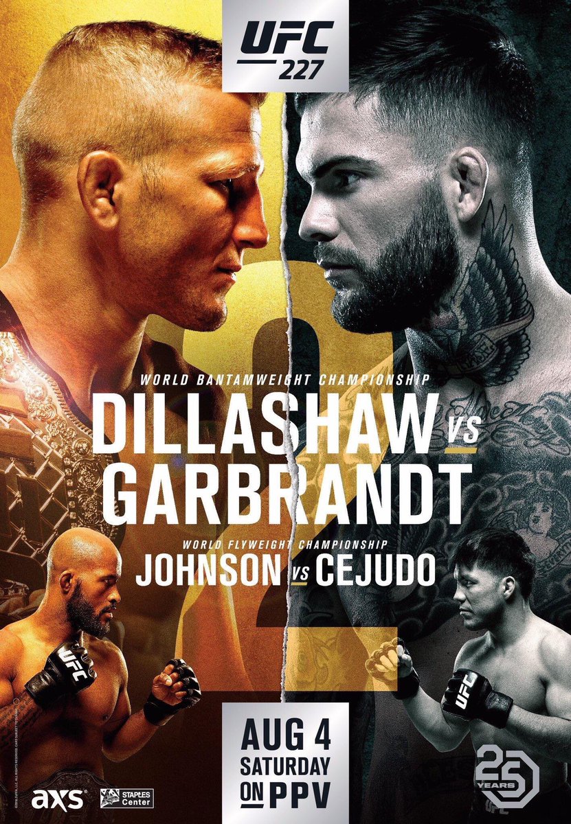 Poster/affiche UFC 227