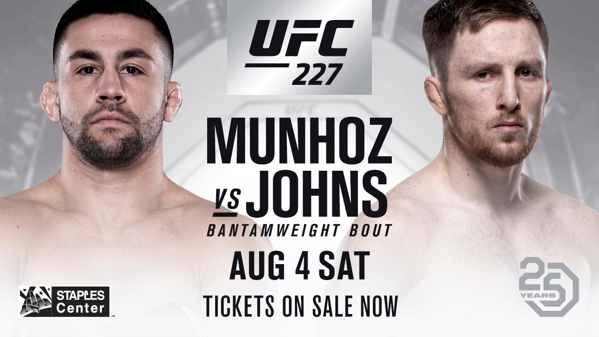 Poster/affiche UFC 227