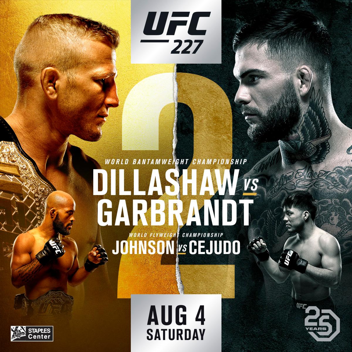 Poster/affiche UFC 227