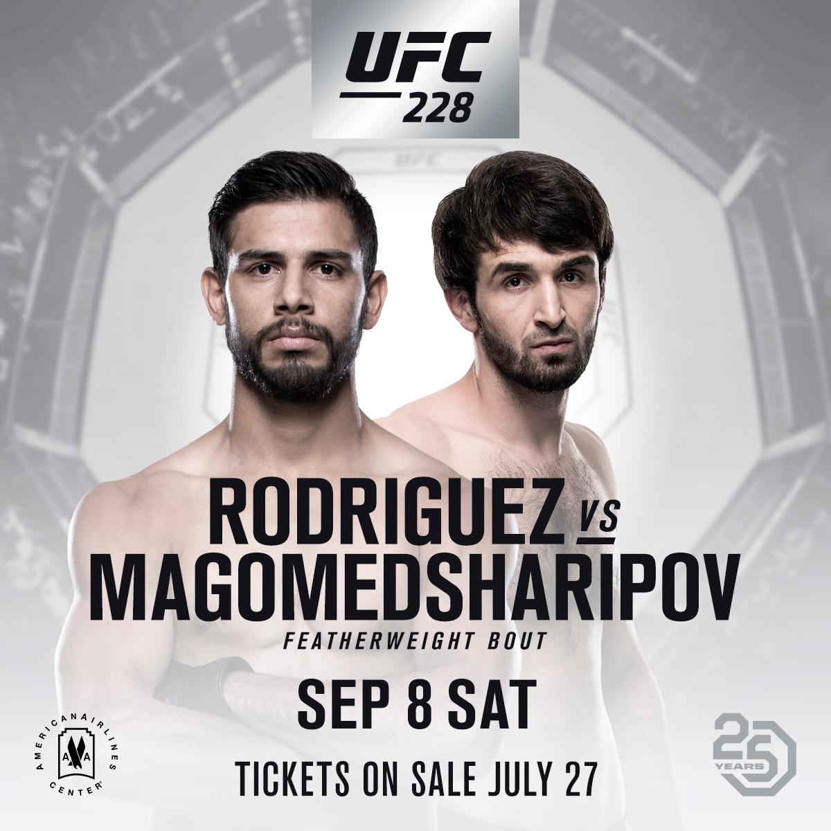 Poster/affiche UFC 228