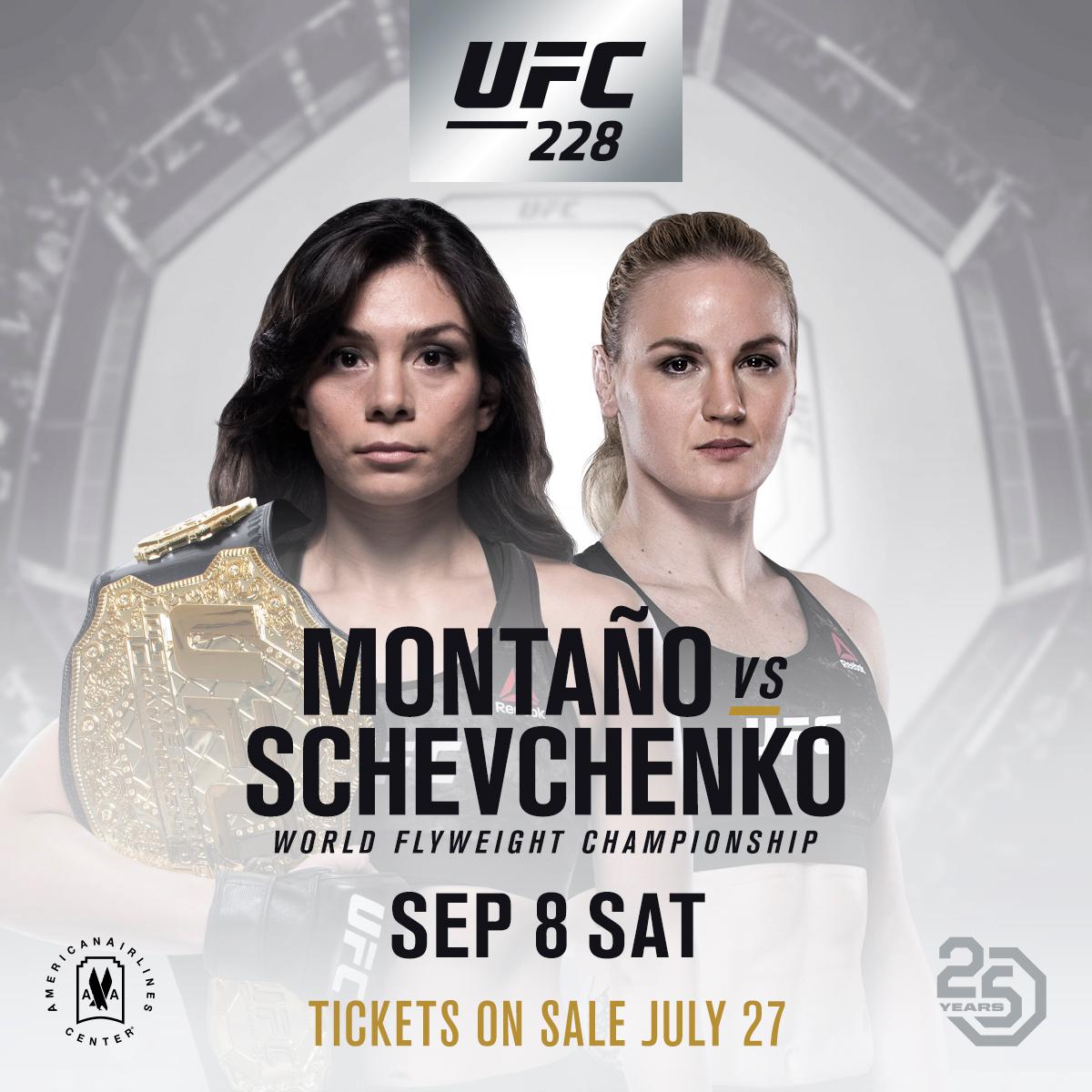 Poster/affiche UFC 228