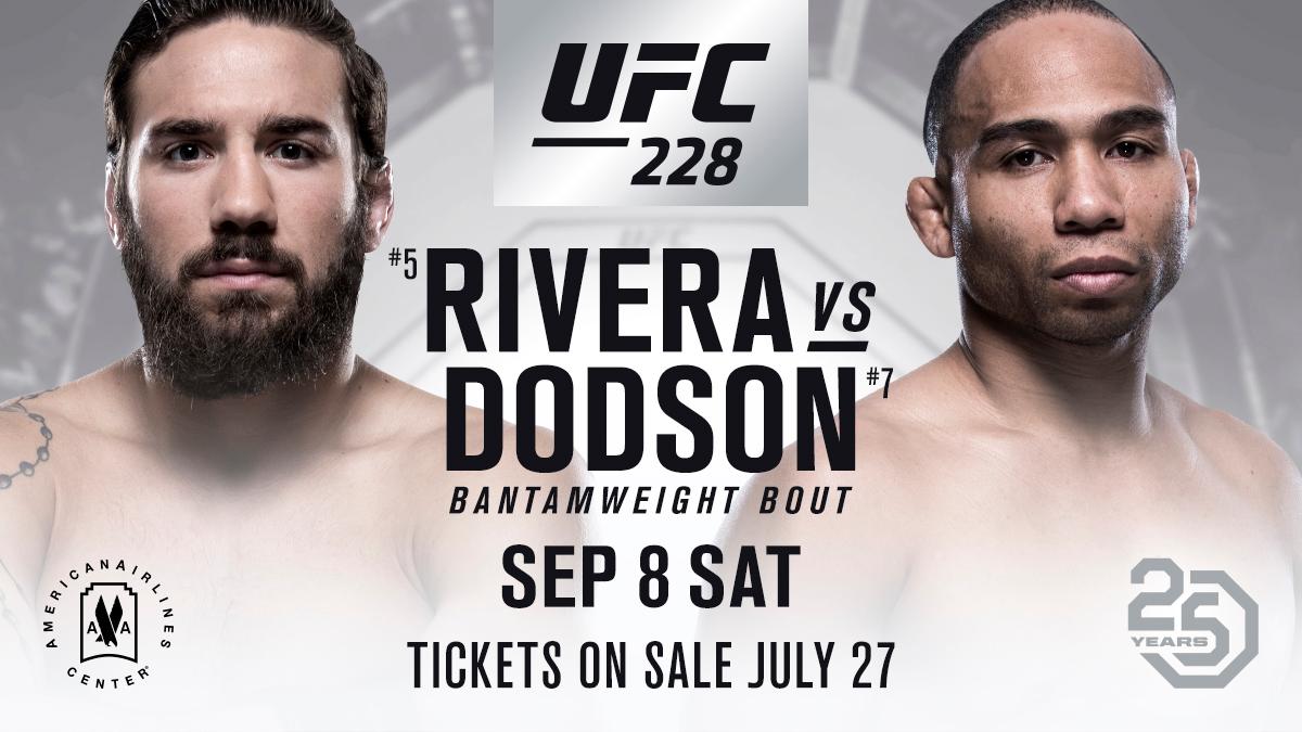 Poster/affiche UFC 228