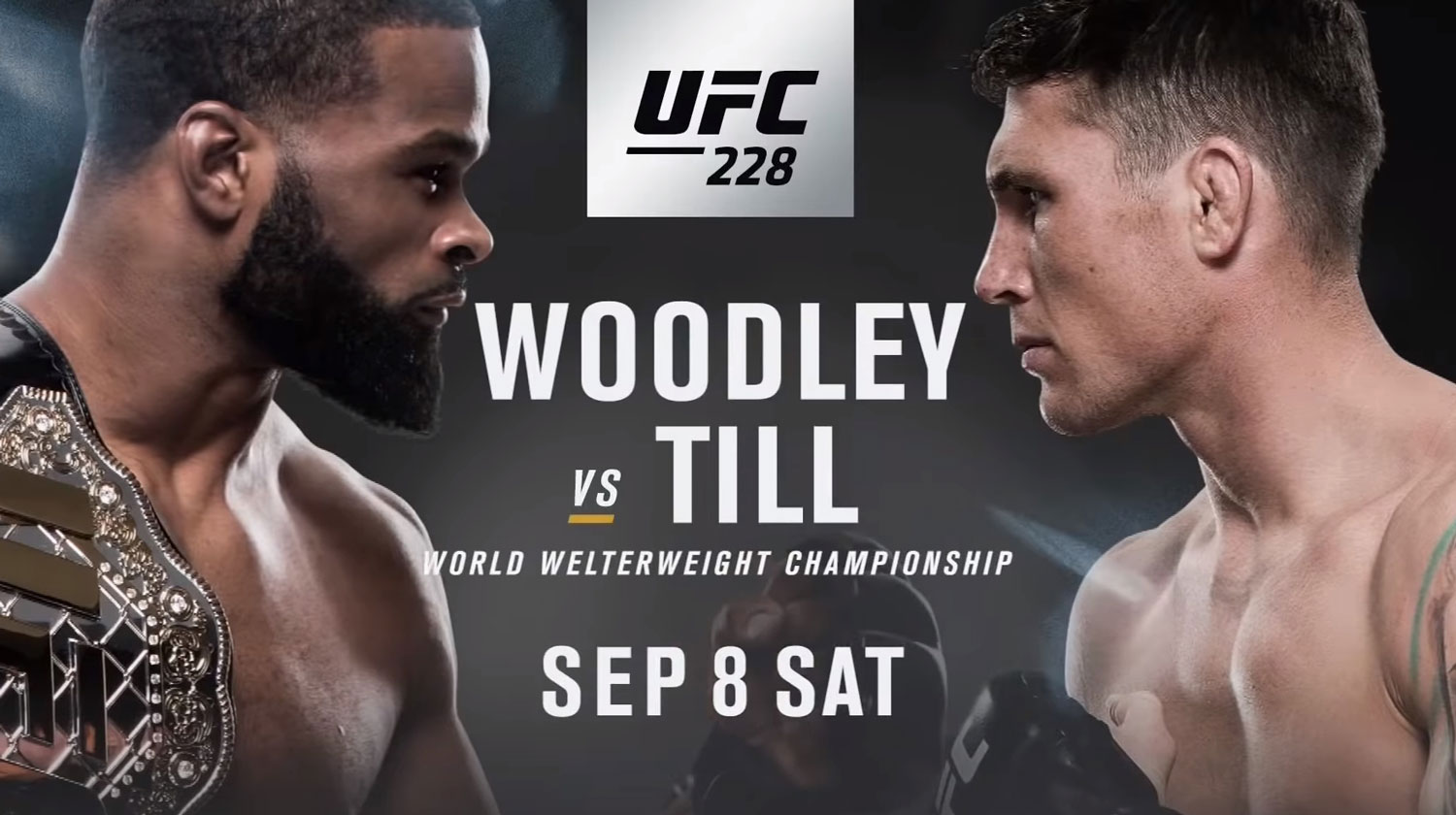 Poster/affiche UFC 228