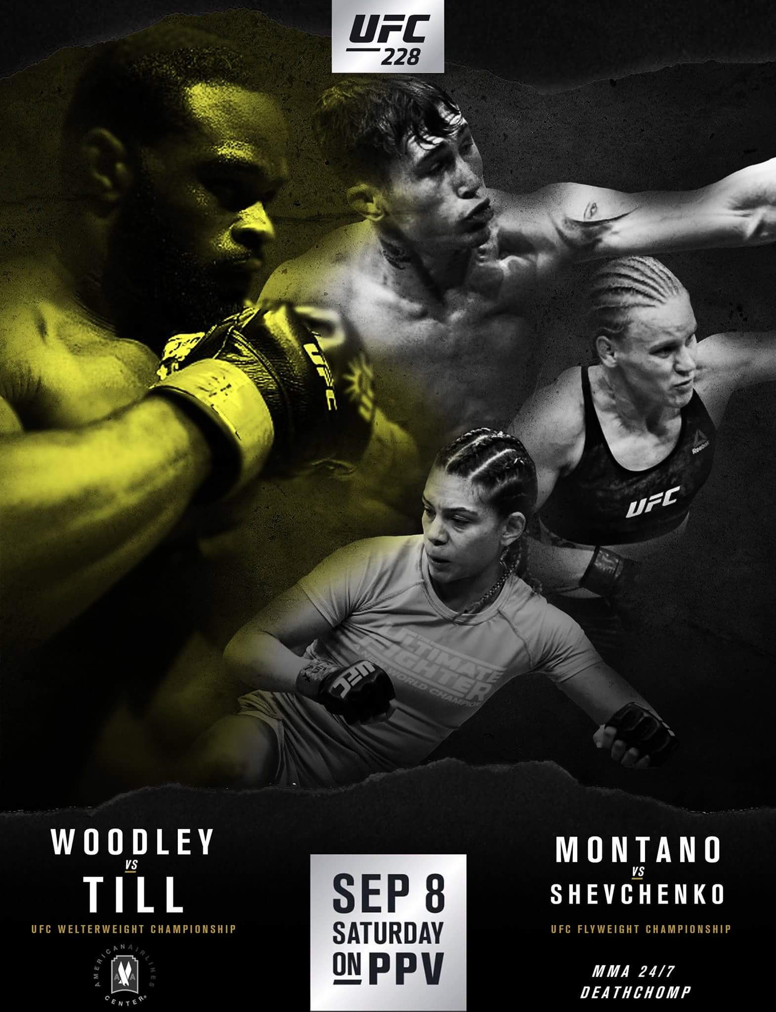 Poster/affiche UFC 228