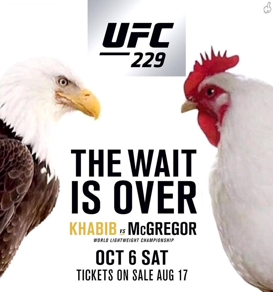 Poster des fans UFC 229