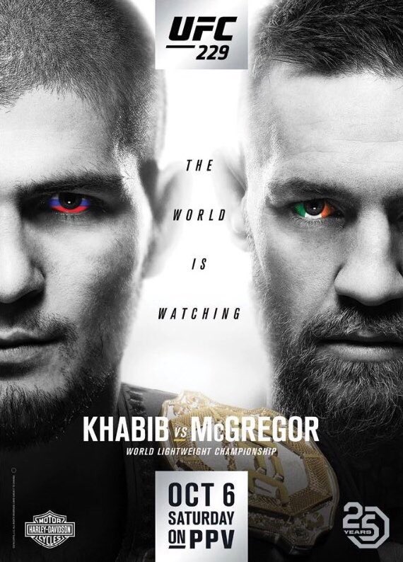 Poster/affiche UFC 229